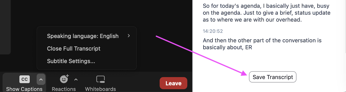 Enabling Zoom Captions as a Participant | Adult Numeracy Center