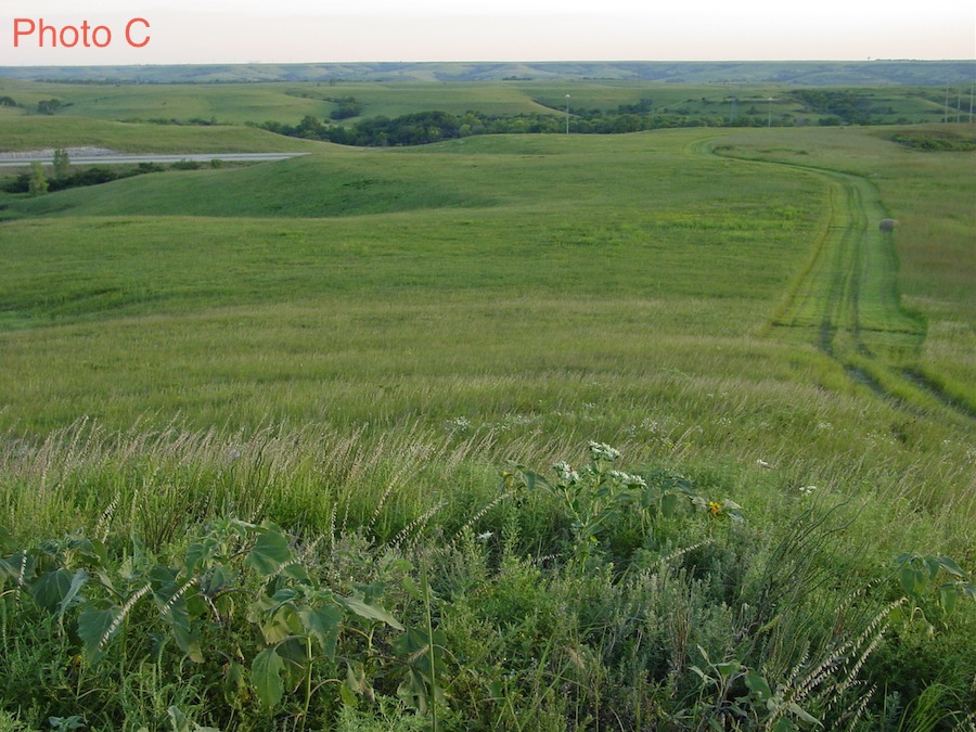 Cod Prairie Unit 2: Teacher Material Downloads | Biocomplexity and the habitable planet