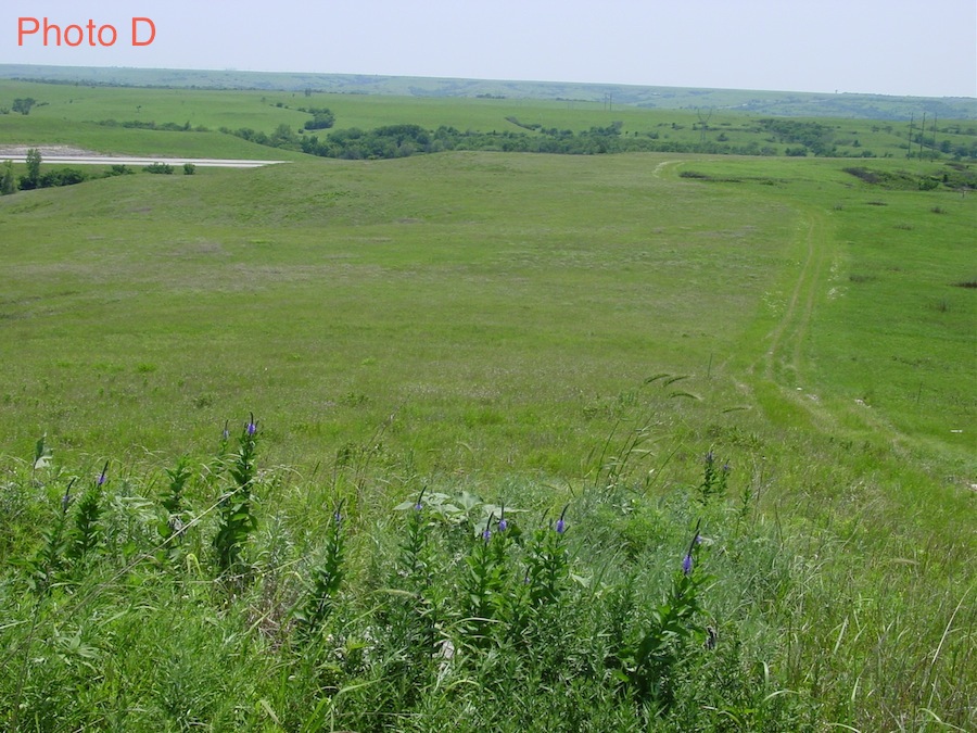 Cod Prairie Unit 2: Teacher Material Downloads | Biocomplexity and the habitable planet
