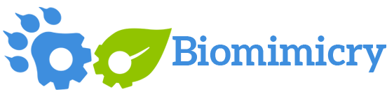Biomimicry