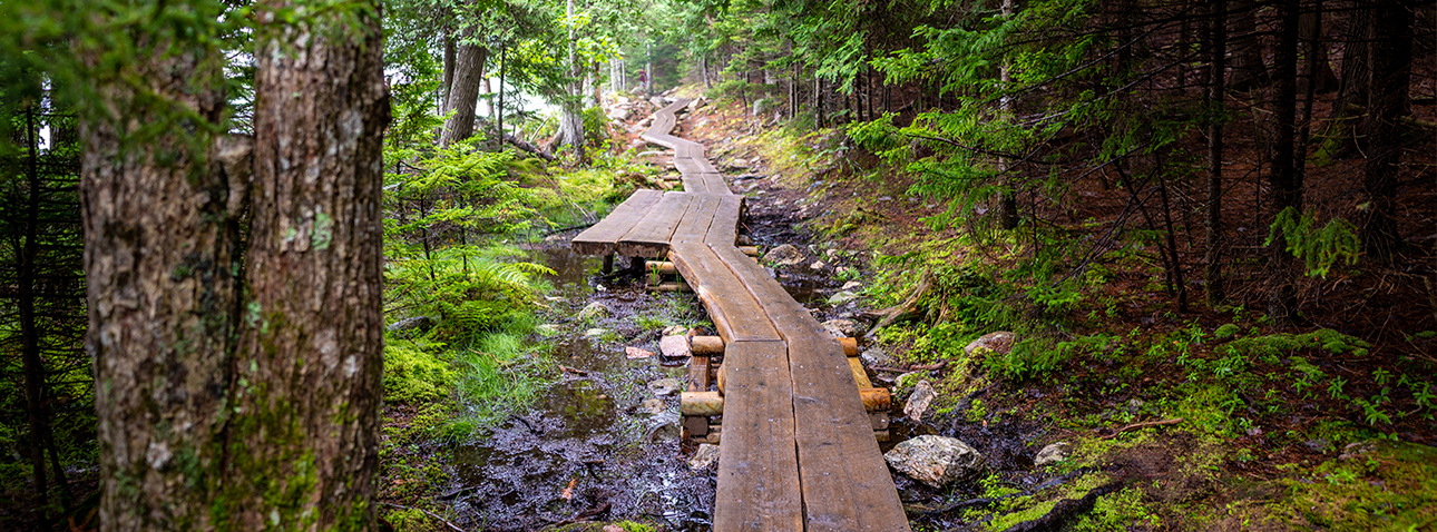 acadia path