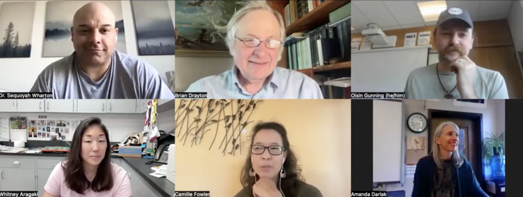 Screenshot of the six participants from the May call-back.