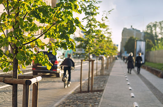 City bike lane