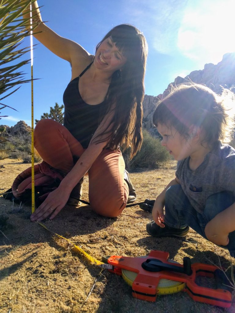 JT measuring trees