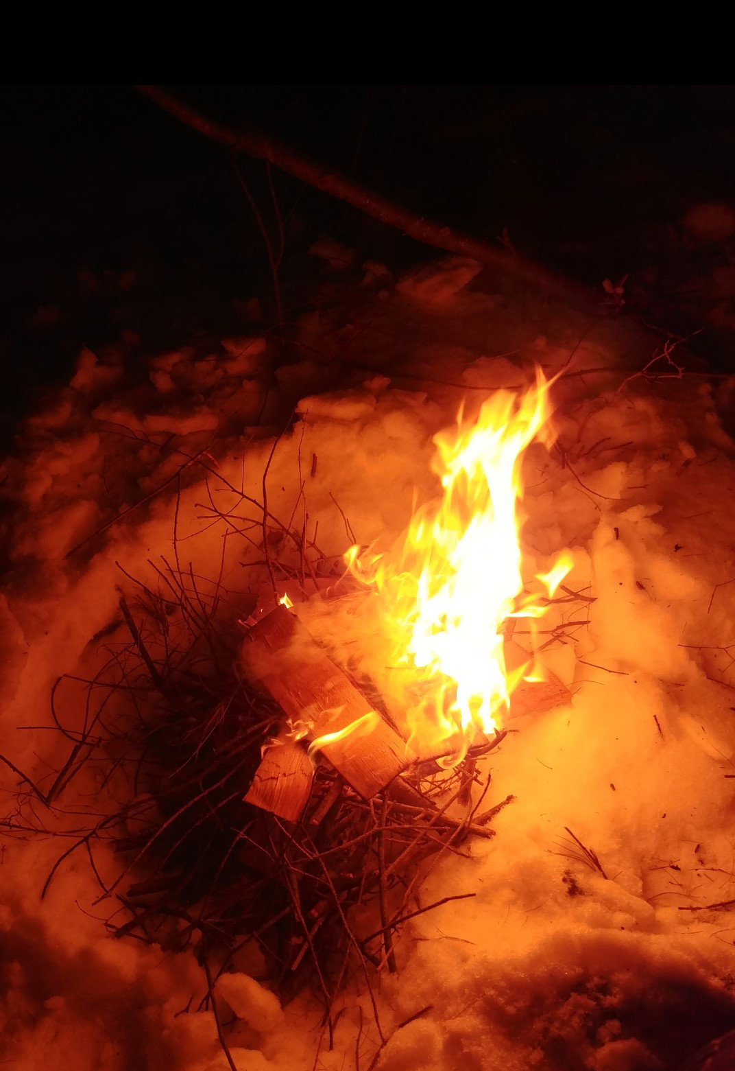 nighttime-reflections-native-stem-portraits
