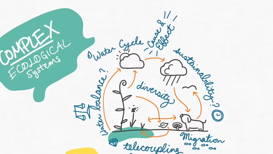 ESSIL: Supporting Reflection with Log-Based Visualizations (2019)