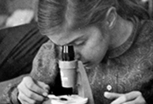 The Power of STEM Education