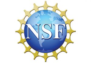 Logo: National Science Foundation