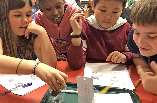 Focus on Energy: Preparing Elementary Teachers to Meet the NGSS Challenge