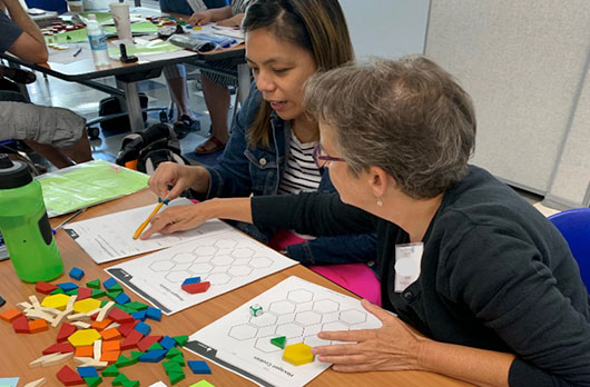 Professional Development