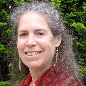 Susan Jo Russell to present at the 2021 Virtual Leadership Seminar on Mathematics Professional Learning