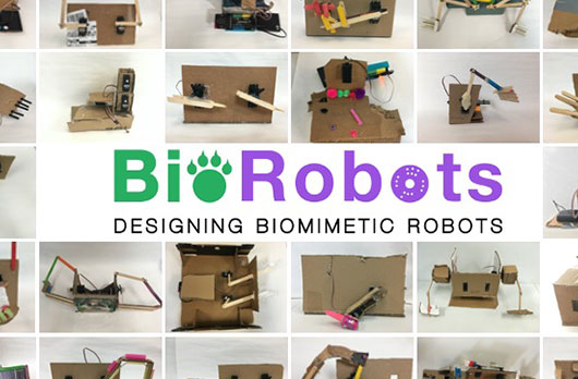 Products: BioRobots